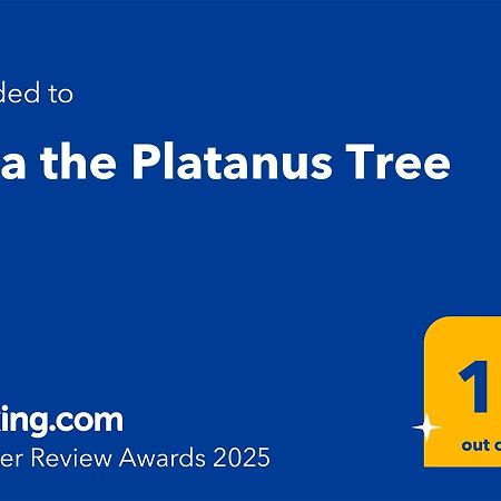 Villa The Platanus Tree Kato Vasiliki 外观 照片