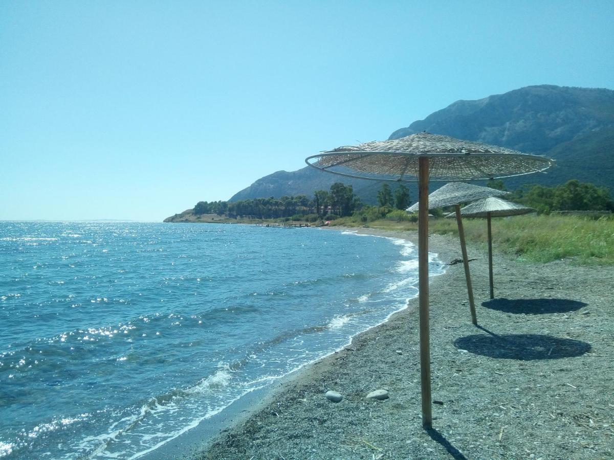 Villa The Platanus Tree Kato Vasiliki 外观 照片