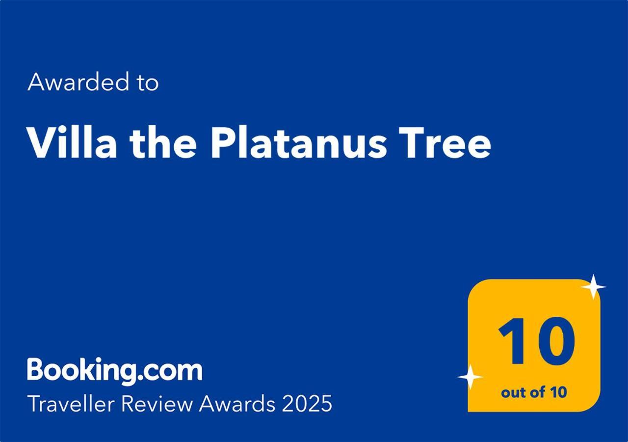 Villa The Platanus Tree Kato Vasiliki 外观 照片
