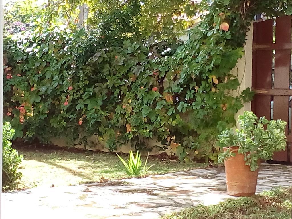 Villa The Platanus Tree Kato Vasiliki 外观 照片