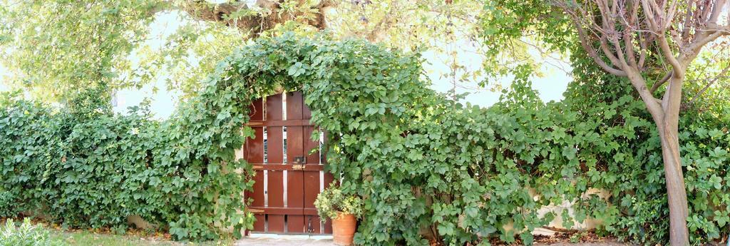 Villa The Platanus Tree Kato Vasiliki 外观 照片