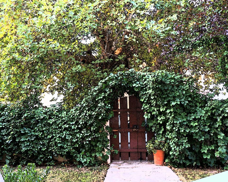 Villa The Platanus Tree Kato Vasiliki 外观 照片