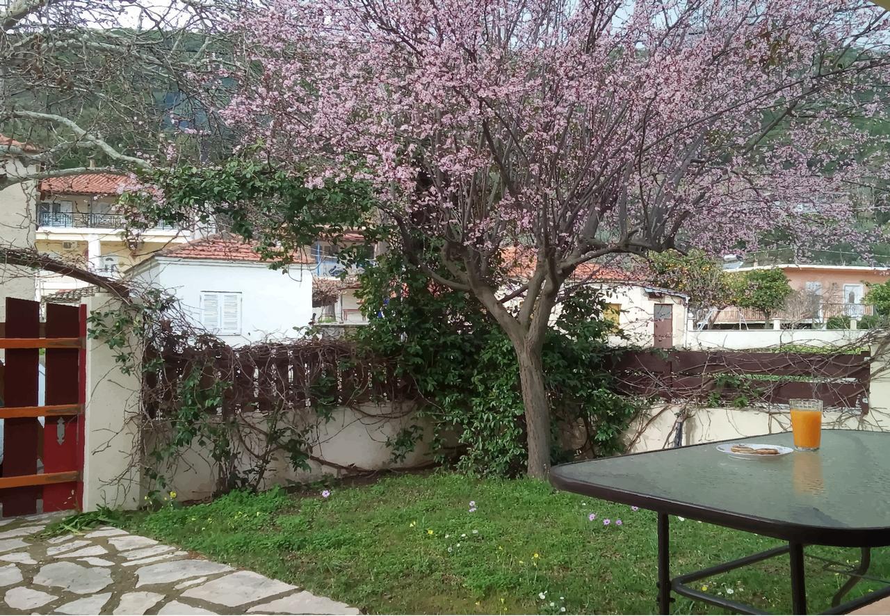 Villa The Platanus Tree Kato Vasiliki 外观 照片
